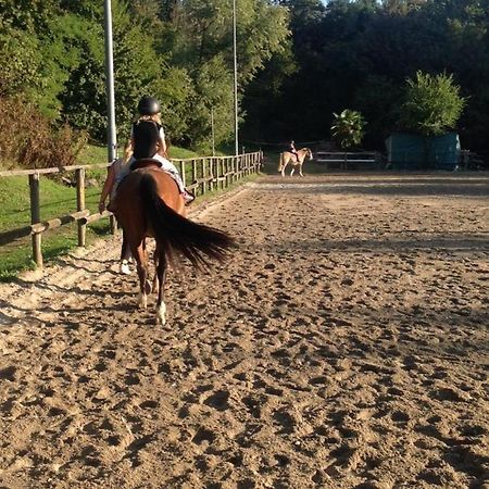 Agriturismo Ai Gradoni Teolo エクステリア 写真